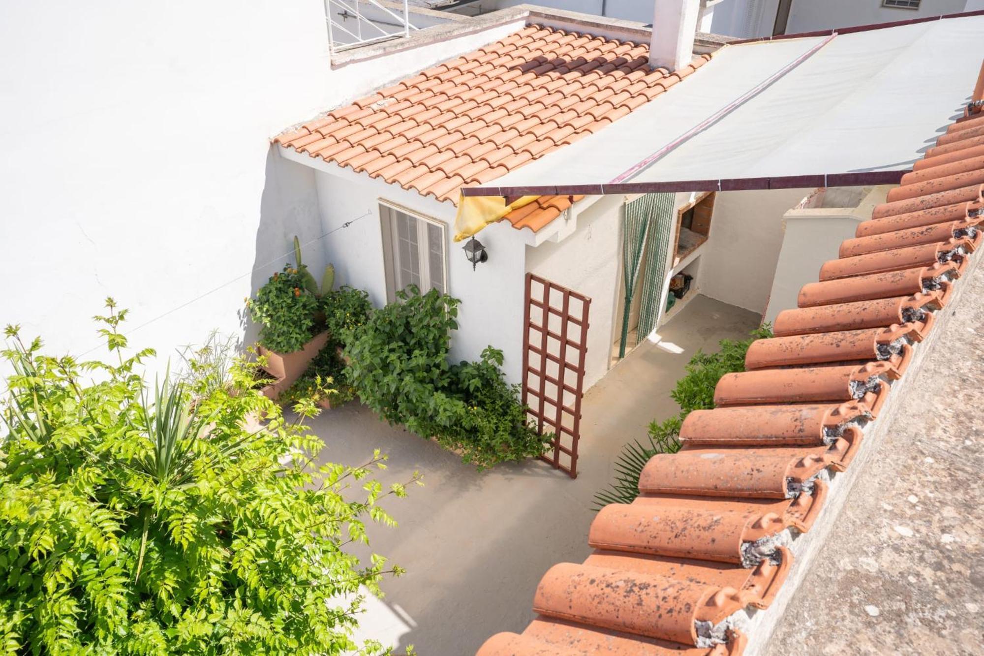 Villa Camilla Porto Cesareo Eksteriør billede